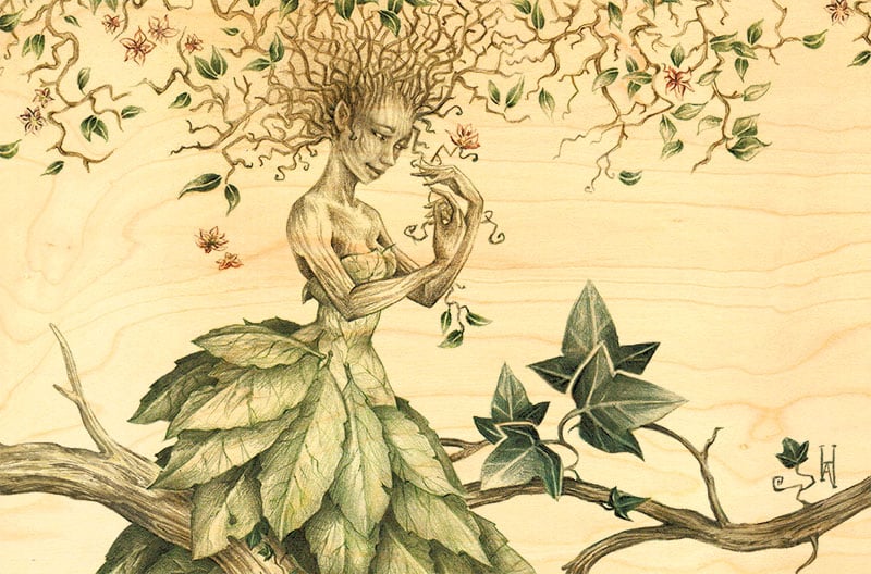 hironwoods-dame-nature-carte-postale-bois-100x150mm image 1