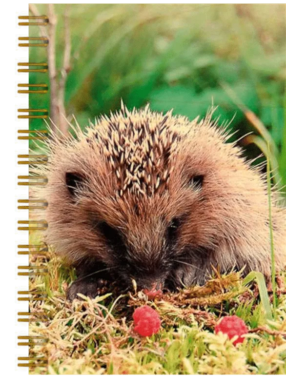 hironwoods-carnets-couverture-bois-h-risson-framboise-carnet-146x94mm image 1