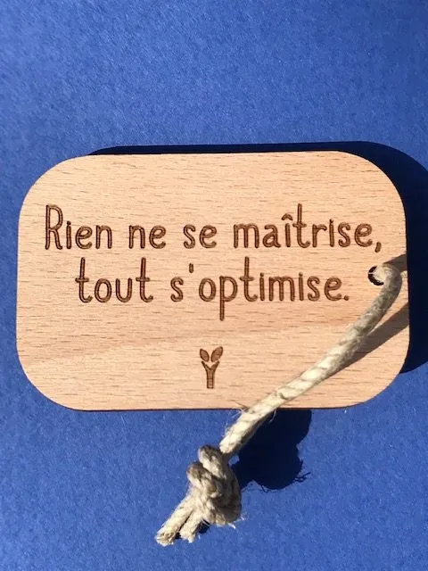 hylarion-rien-ne-se-ma-trise-porte-cl-s-bois-6x4-cm image 1