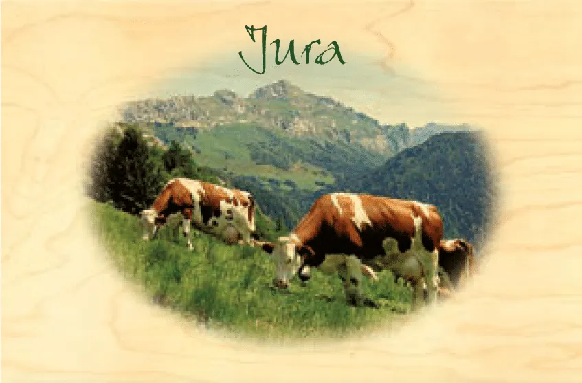 hironwoods-vaches-jura-carte-postale-bois-100x150-mm image 1