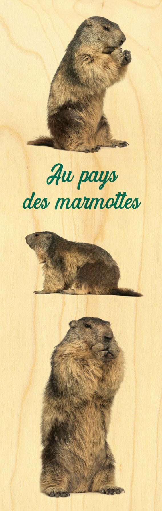 hironwoods-marque-pages-pays-des-marmottes-marque-page-bois image 1