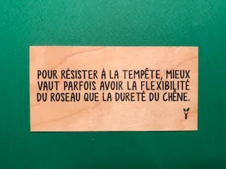 hylarion-cartes-temp-te-carte-en-bois-10x5-cm-massif image 1