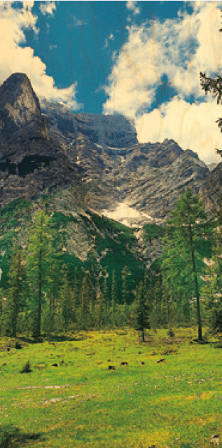 hironwoods-carte-bois-panoramique-prairie-montagnes-100x200mm image 1