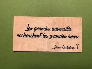 hylarion-cartes-adversit-s-carte-bois-citation-encourager image 1