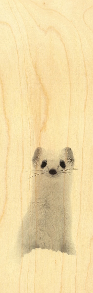 hironwoods-hermine-bruggmann-marque-page-bois-animaux image 1