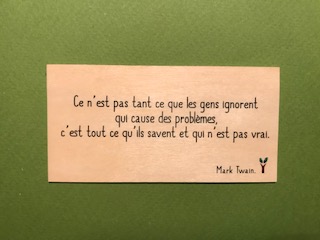 hylarion-cartes-ce-n-est-pas-tant-ce-que-les-gens-ignorent-carte-bois image 1