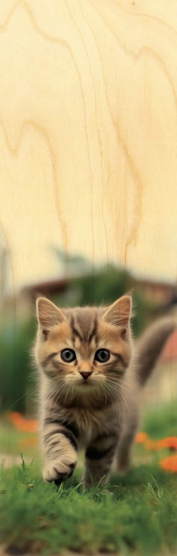 hironwoods-marque-pages-chaton-marque-page-bois-chat image 1