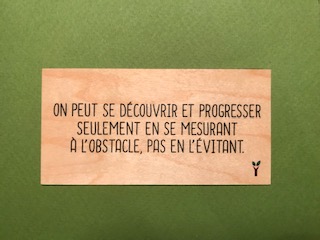 hylarion-cartes-se-d-couvrir-et-progresser-carte-en-bois image 1