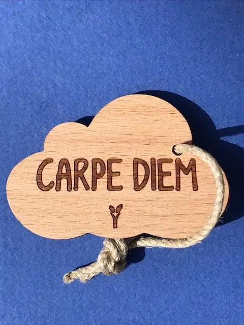hylarion-porte-cl-s-carpe-diem-porte-cl-s-bois-6x4-cm image 1