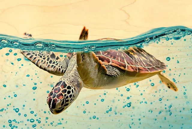 hironwoods-tortue-vague-carte-postale-bois-animaux-marins-100x150mm image 1