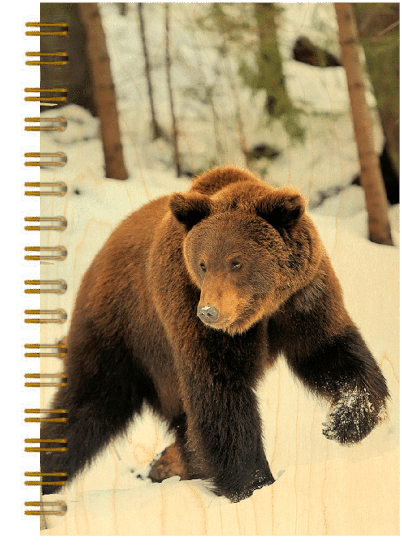 hironwoods-carnet-couverture-bois-ours-146x94mm image 1