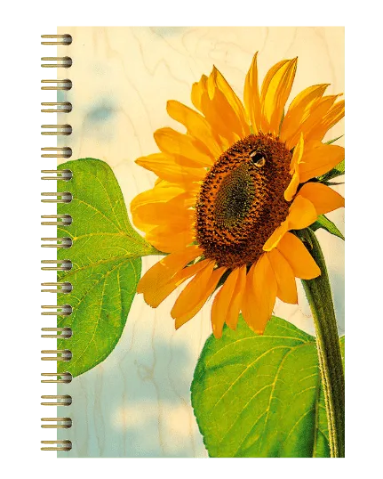 hironwoods-tournesol-carnet-couverture-bois-146x94mm-fleur image 1