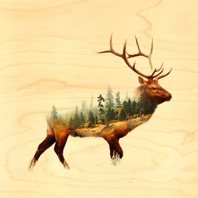 hironwoods-cerf-for-t-poster-bois-300x300mm image 1