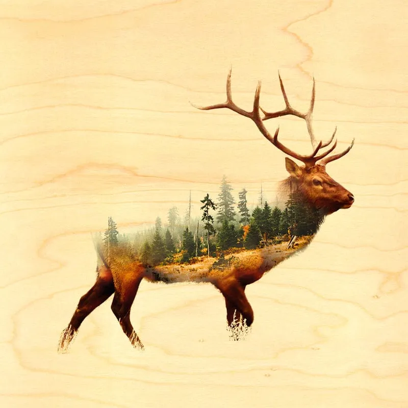 hironwoods-cerf-for-t-poster-bois-300x300mm image 1