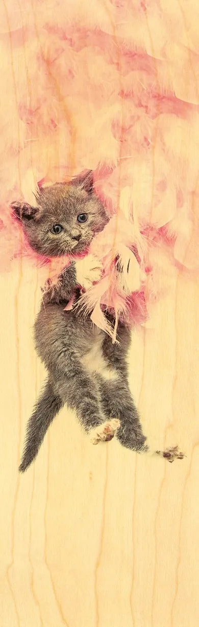 hironwoods-marque-page-bois-chaton-boa-animaux image 1