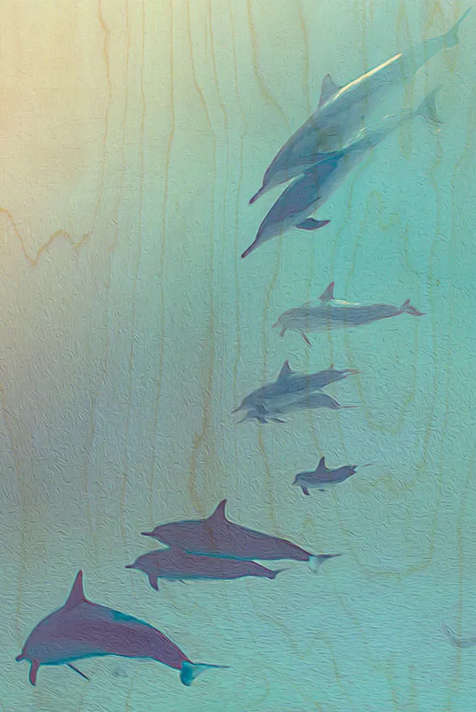 hironwoods-carte-postale-bois-dauphins-en-courbes-100x150mm image 1