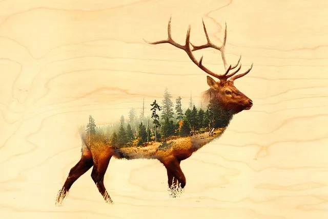 hironwoods-carte-postale-bois-cerf-for-t-100x150mm image 1