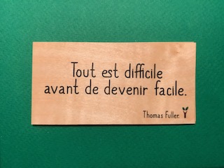 hylarion-cartes-tout-est-difficile-carte-bois-10x5-cm image 1