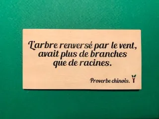 hylarion-cartes-arbre-renvers-carte-bois-10x5-cm-massif image 1