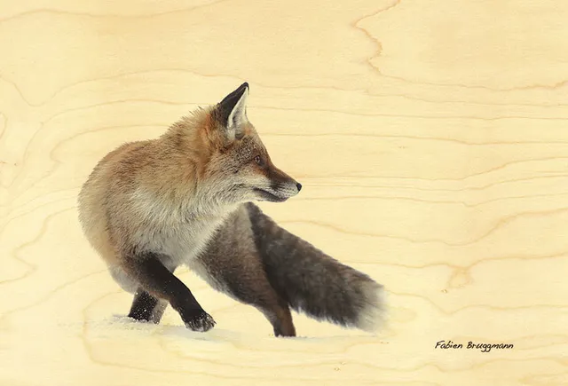hironwoods-carte-postale-bois-renard-100x150mm-animaux image 1