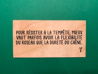 hylarion-cartes-temp-te-carte-en-bois-10x5-cm-massif image 1