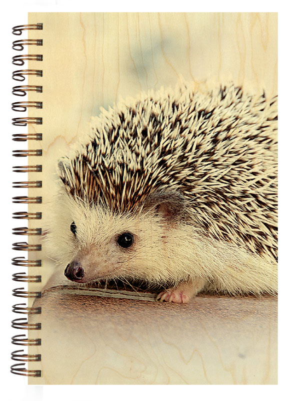 hironwoods-carnets-couverture-bois-carnet-h-risson-jura-146x94mm image 1