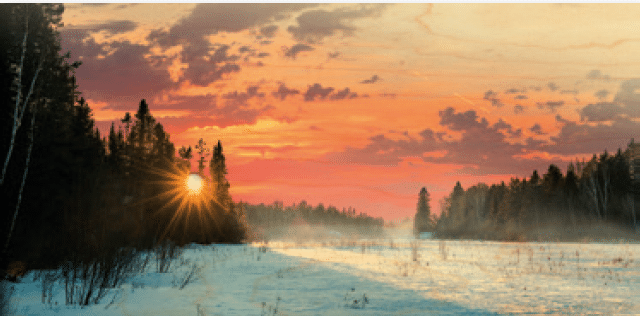 hironwoods-carte-bois-panoramique-soleil-hiver-100x200mm image 1