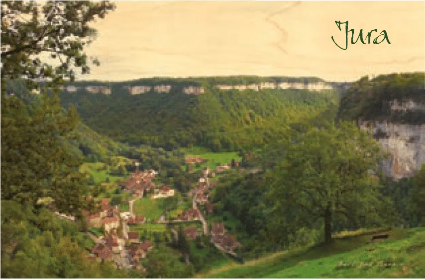 hironwoods-carte-postale-bois-baume-les-messieurs-jura-100x150 image 1