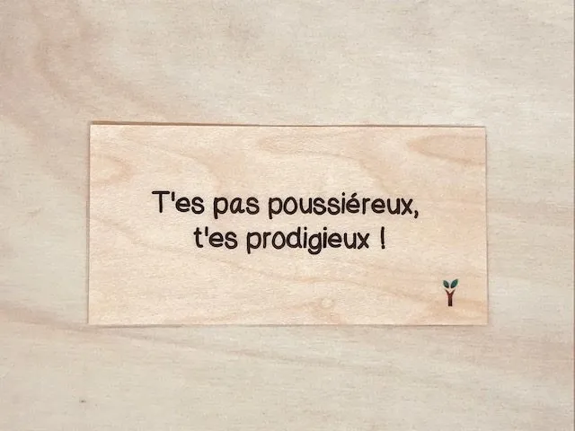 hylarion-cartes-carte-en-bois-t-es-pas-poussiereux-t-es-prodigieux image 1