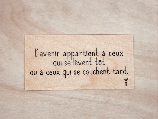 hylarion-cartes-l-avenir-appartient-carte-bois-10x5-cm image 1