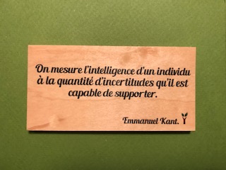hylarion-cartes-intelligence-carte-bois-intelligence image 1