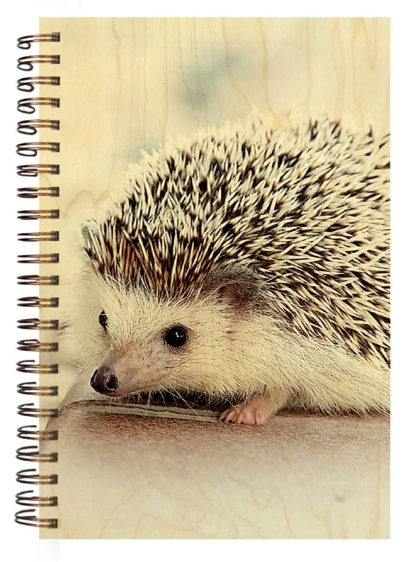 hironwoods-h-risson-carnet-couverture-bois-146x94mm image 1