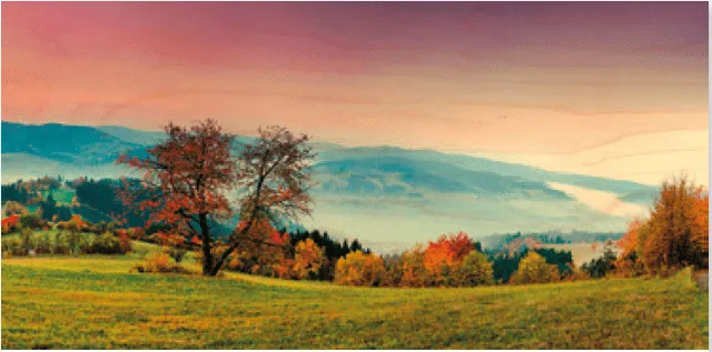 hironwoods-carte-bois-panoramique-vallon-automnal-100x200mm image 1