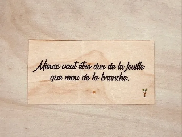 hylarion-cartes-dur-de-la-feuille-carte-bois-humour image 1