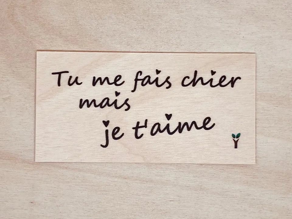hylarion-cartes-je-t-aime-carte-bois-humour-amour image 1