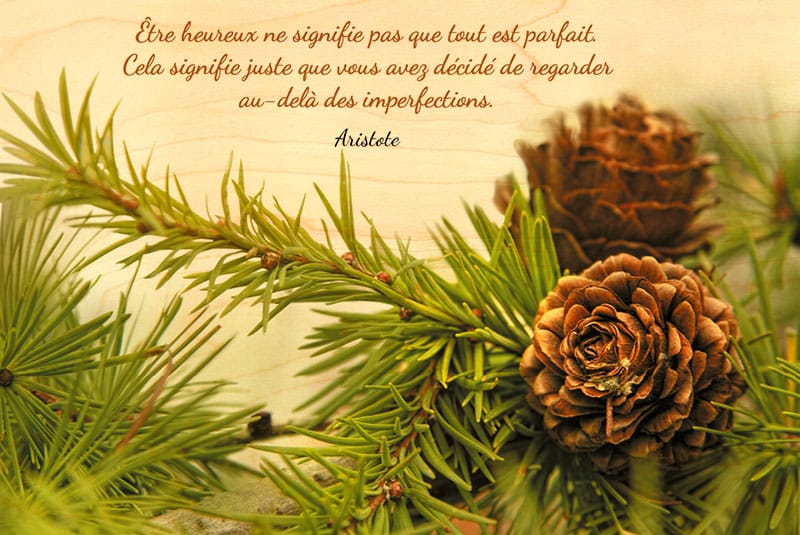 hironwoods-carte-bois-citation-pomme-de-pin-100x150mm image 1