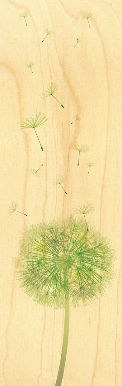 hironwoods-marque-pages-pissenlit-marque-page-bois-fleur image 1