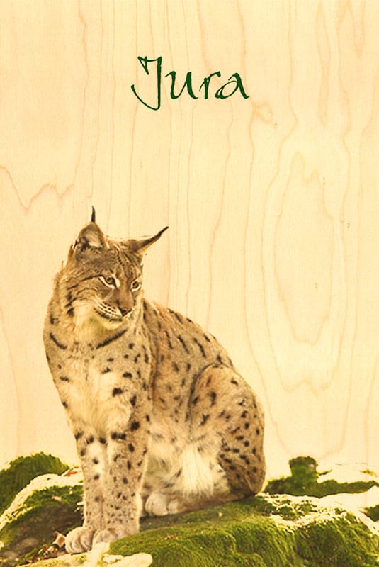 hironwoods-cartes-postales-bois-carte-lynx-animaux-100x150mm image 1