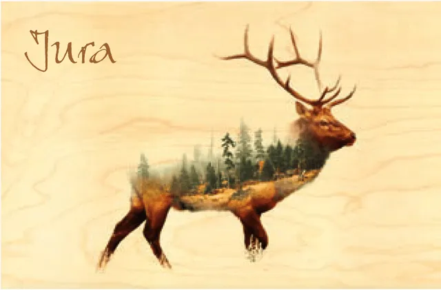 hironwoods-carte-postale-bois-jura-cerf-for-t-100x150 image 1
