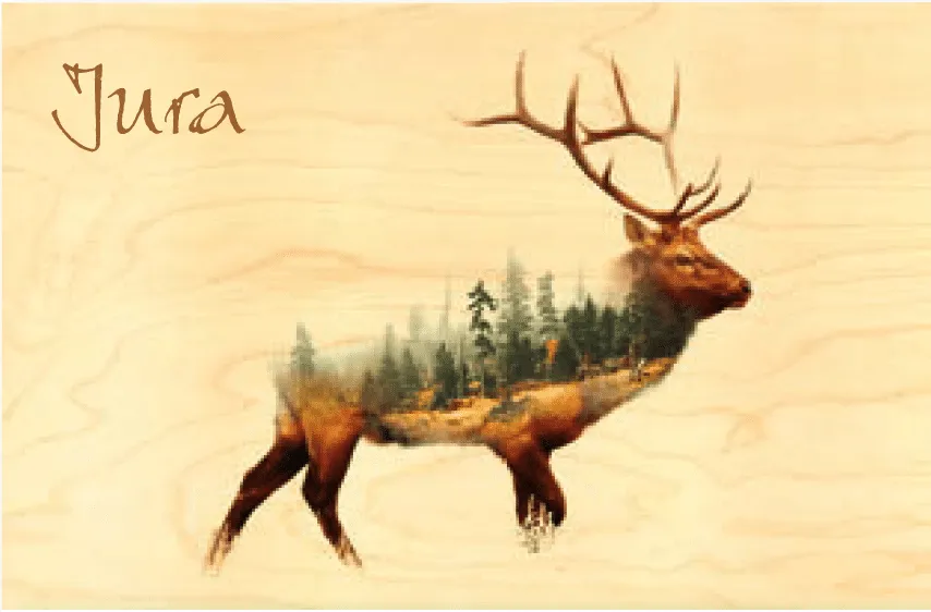 hironwoods-carte-postale-bois-jura-cerf-for-t-100x150 image 1