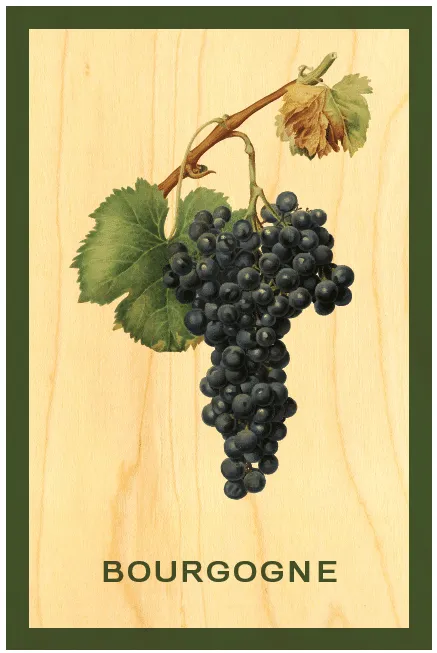 hironwoods-magnet-bois-grappe-aimant-frigo image 1