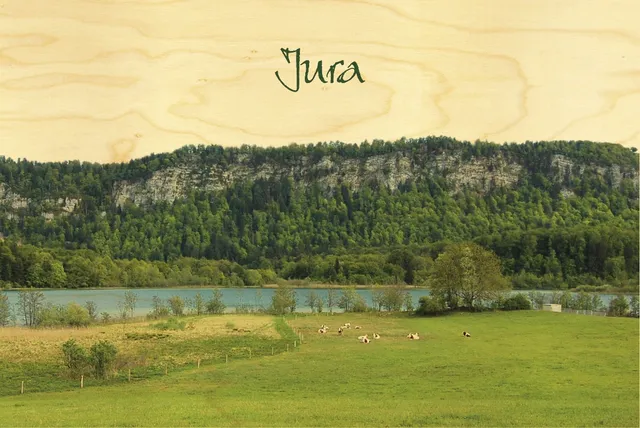 hironwoods-carte-postale-bois-paysage-lac-jura-100x150mm image 1