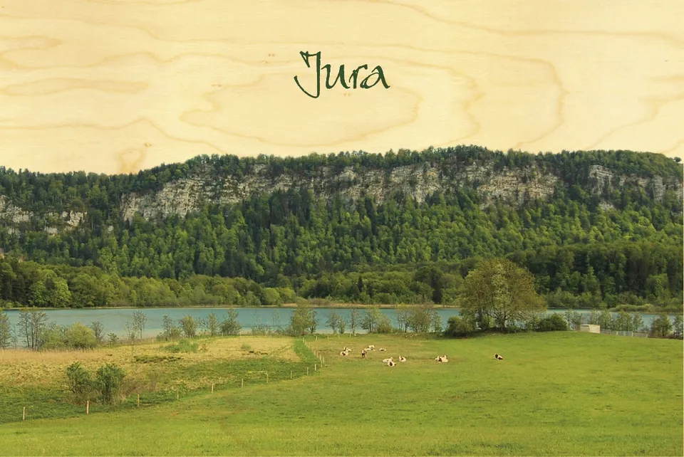 hironwoods-carte-postale-bois-paysage-lac-jura-100x150mm image 1