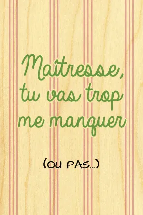 hironwoods-magnets-en-bois-vacances-ma-tresse-magnet-frigo image 1