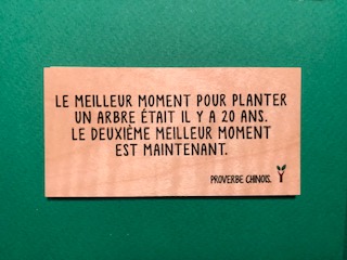 hylarion-cartes-carte-bois-planter-un-arbre-10x5-cm image 1