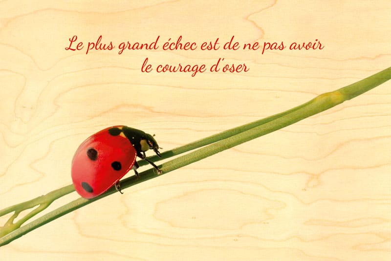 hironwoods-carte-bois-citation-cocci-carte-postale-100x150mm image 1