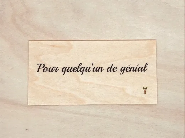 hylarion-cartes-g-nial-carte-bois-message-10x5-cm image 1