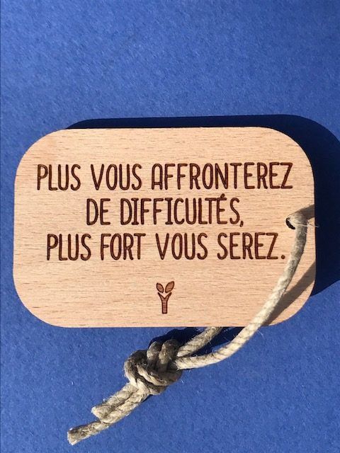 hylarion-porte-cl-s-porte-cl-bois-difficult-s-6x4-cm image 1