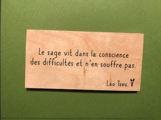 hylarion-cartes-le-sage-vit-carte-en-bois-citation image 1