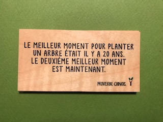 hylarion-cartes-planter-un-arbre-carte-bois-nature image 1